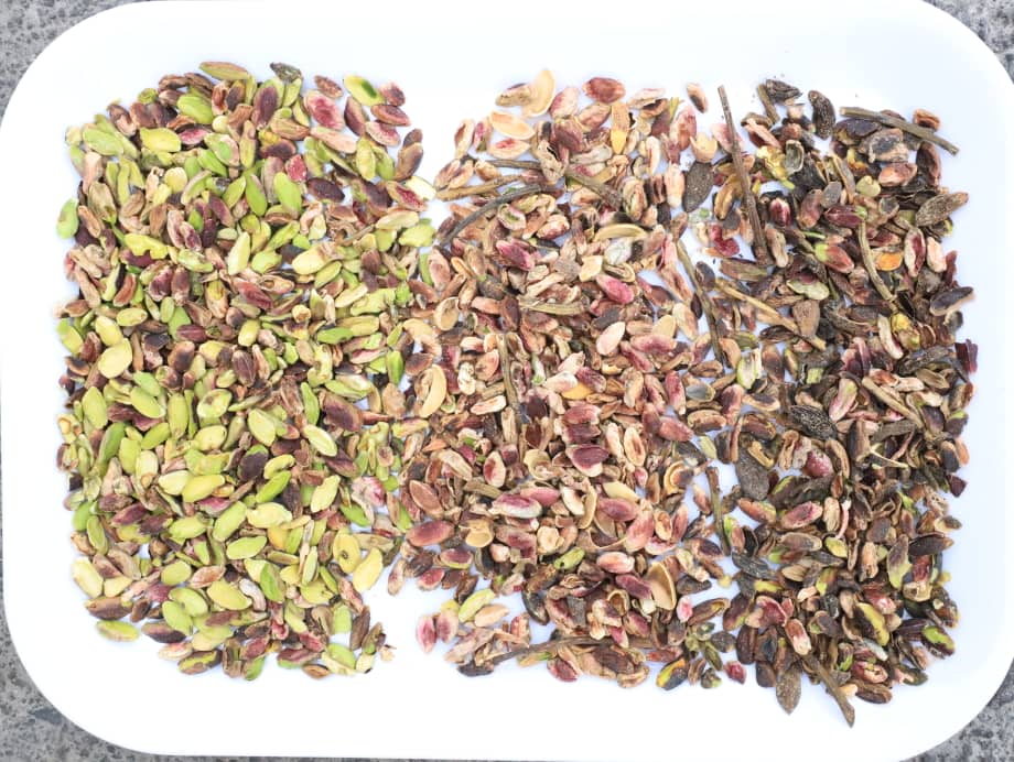 Antep Fıstığı Kırma