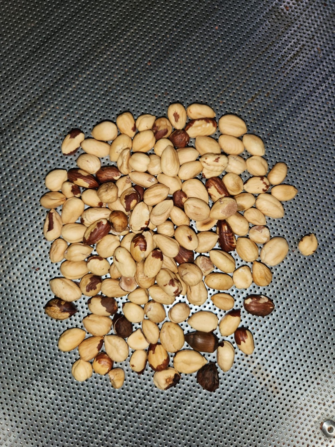 Fındık Kabuğu Kırma