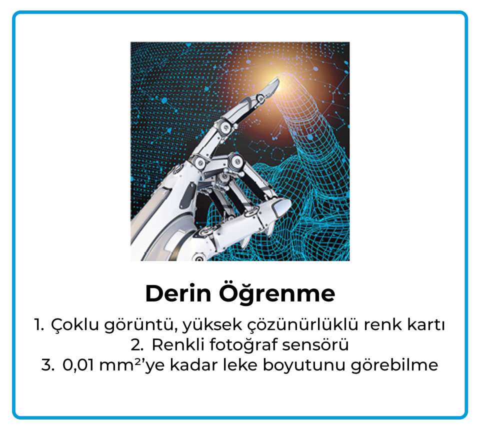 Varlık 2 Varlık 2